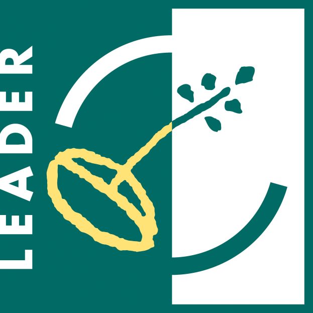 Leader-logo (2)
